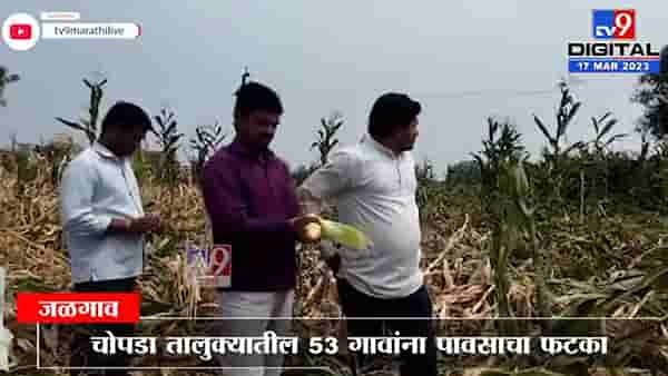सरकारी बाबू संपात, पंचनामे विना शेतकऱ्याचे हाल; अवकाळीने शेतीचे नुकसान