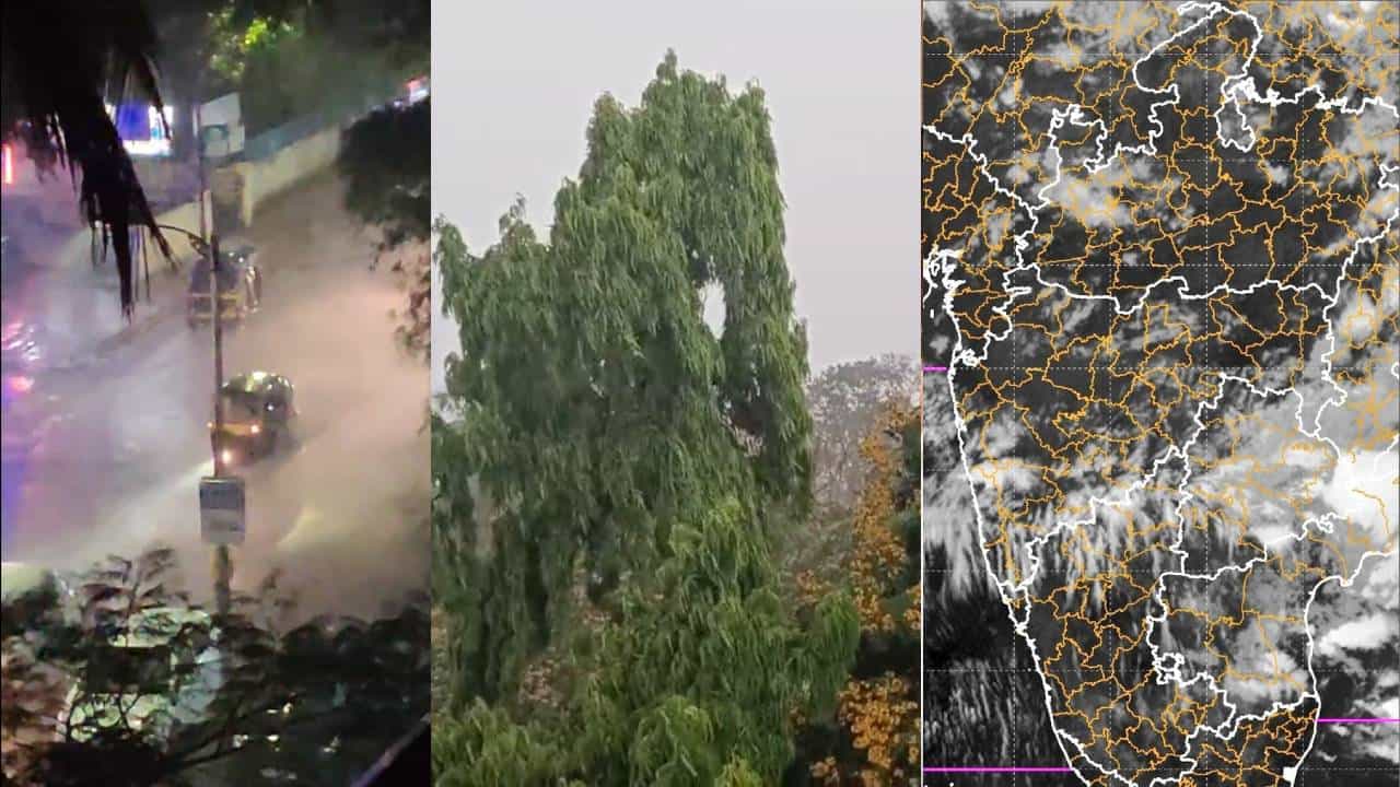कही अमृत, तो कहीं... हवामान खात्याच्या तज्ज्ञांची शायरी, नेमकं काय सूचवायचंय?
