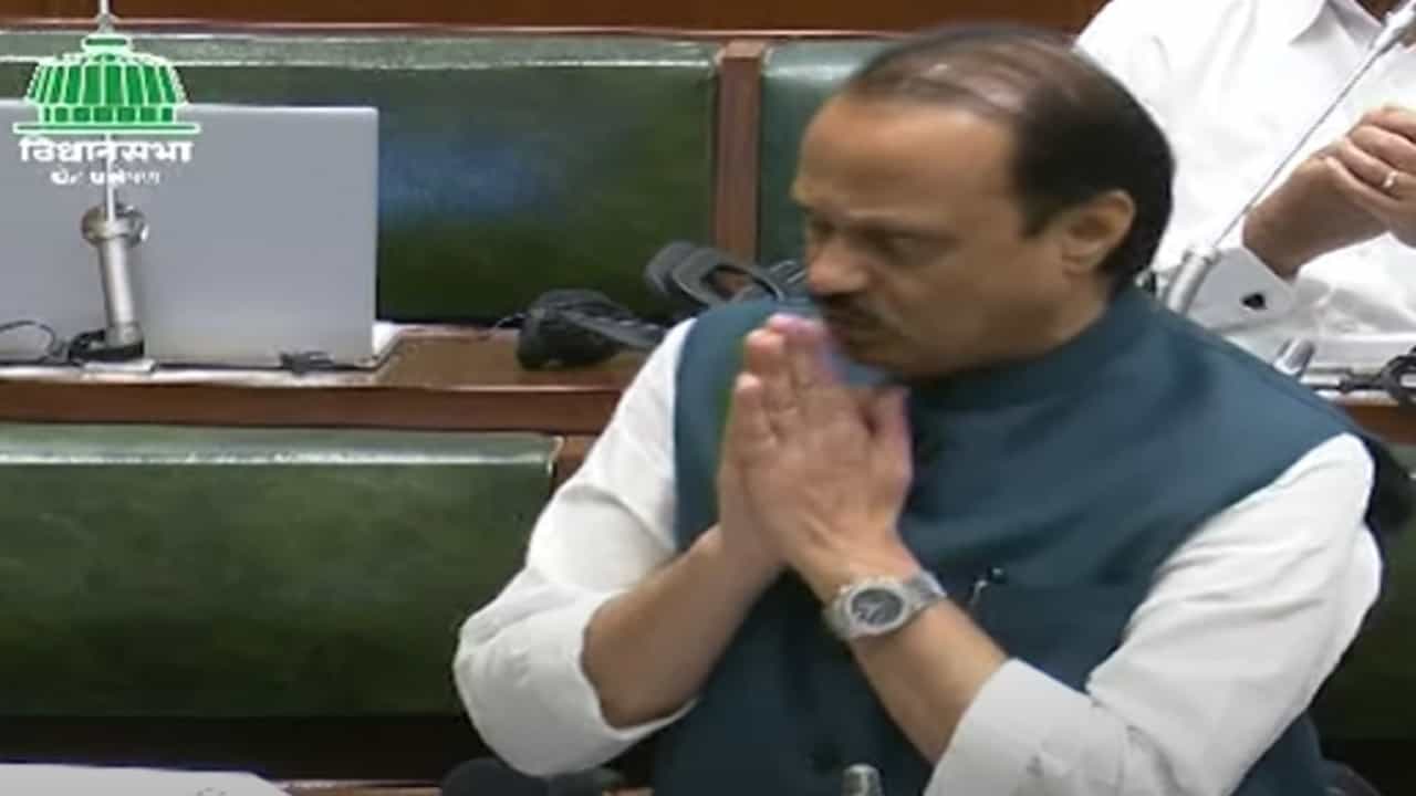 अन् भर विधानसभेत मुख्यमंत्री उपमुख्यमंत्र्यांसमोर जोडले हात, नेमकं काय म्हणाले अजित पवार