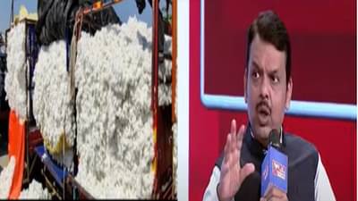 कापूस उत्पादक शेतकऱ्यांची हाक महाराष्ट्र सरकारने अखेर ऐकली, देवेंद्र फडणवीस यांच्याकडून मोठी बातमी
