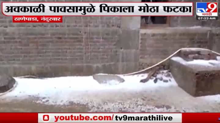 अवकाळी-गारपिटीने शेतकऱ्यांच्या तोंडातील घास हिरावला, मोठं नुकसान अवकाळी-गारपिटीने शेतकऱ्यांच्या तोंडातील घास हिरावला, मोठं नुकसान