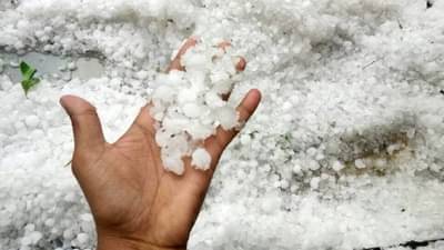 Unseasonal Rain : या जिल्ह्याला अवकाळी पावसाने झोडपले, रस्त्यावर, शेतात, घराच्या छतावर गारांचा खच