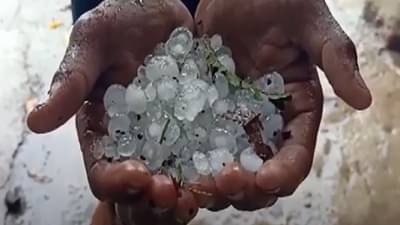 उष:काल होता होता काळ रात्र झाली, हाता तोंडाशी आलेला घास हिरावला, महाराष्ट्रातील या जिल्ह्यांमध्ये गारपीटमुळे हाहाकार