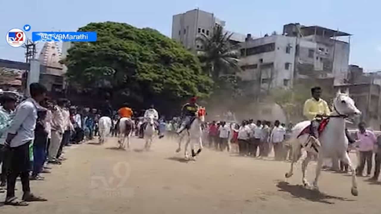 रुबाबदार, देखण्या घोड्यांनी फेडलं डोळ्यांचं पारणं; कुठं रंगली अनोखी स्पर्धा
