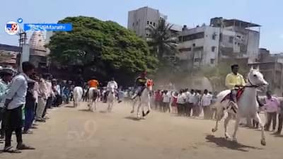 रुबाबदार, देखण्या घोड्यांनी फेडलं डोळ्यांचं पारणं; कुठं रंगली अनोखी स्पर्धा