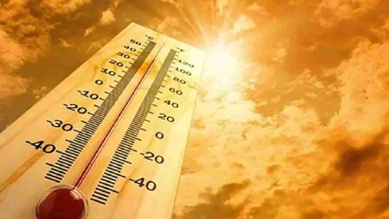 साधवान, IMD कडून राज्यात Heat Wave चा अलर्ट