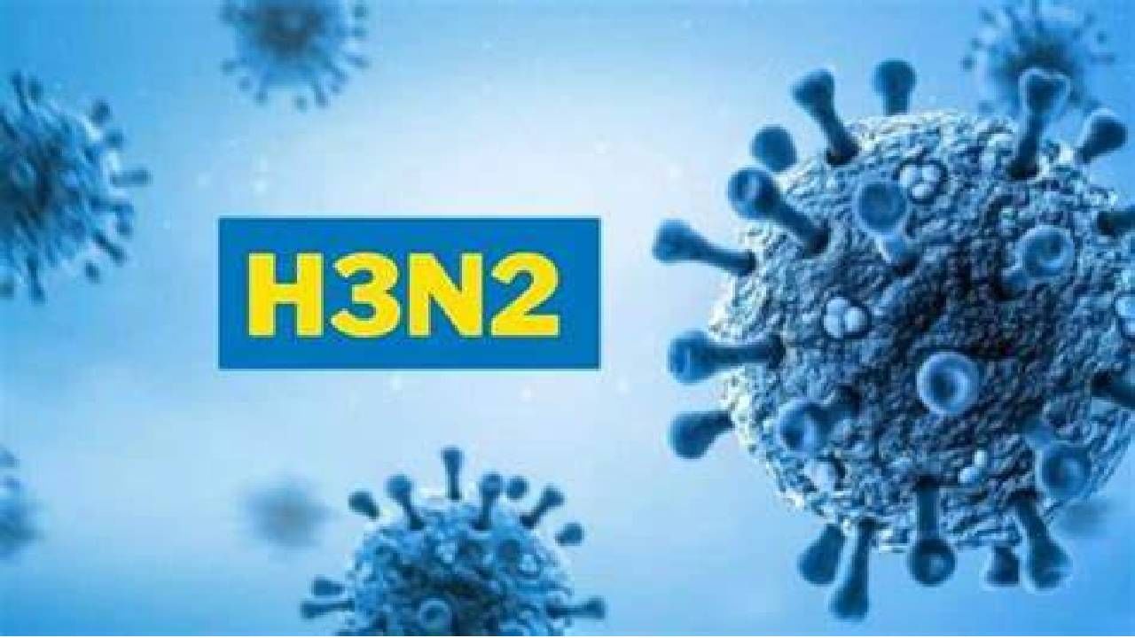 H3N2 व्हायरस पासून करा बचाव, आहारात करा या गोष्टींचा समावेश! H3N2 व्हायरस पासून करा बचाव, आहारात करा या गोष्टींचा समावेश!