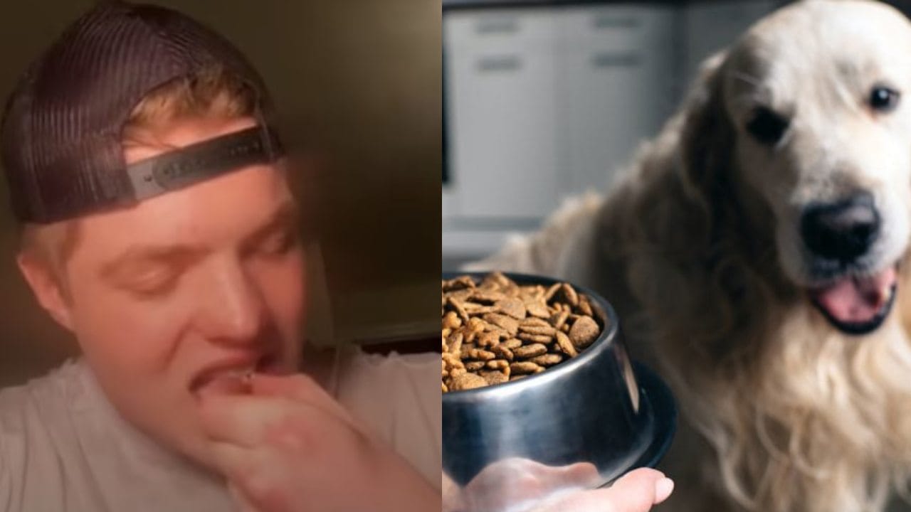 प्रोटीन मिळावे म्हणून तो चक्क डॉग फूड खाऊ लागला, त्यामुळे झाला असा परिणाम Marathi News He