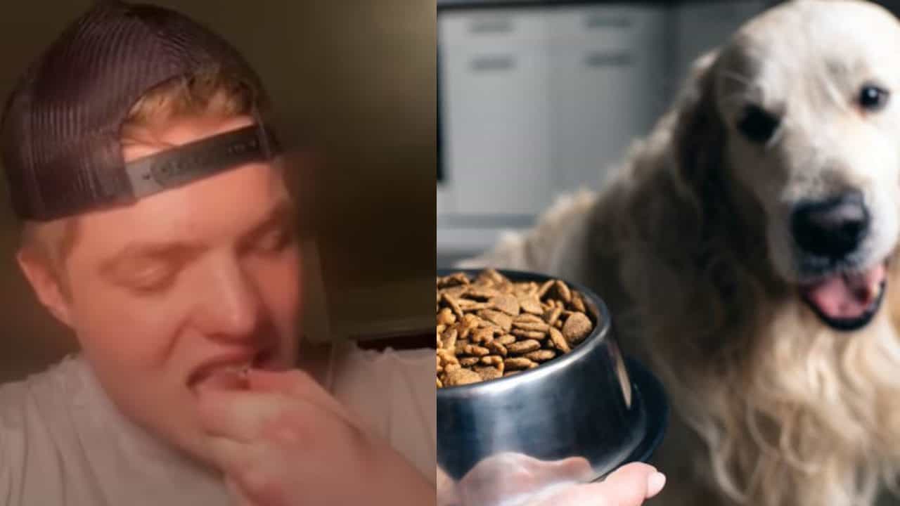 प्रोटीन मिळावे म्हणून तो चक्क डॉग फूड खाऊ लागला, त्यामुळे झाला असा परिणाम