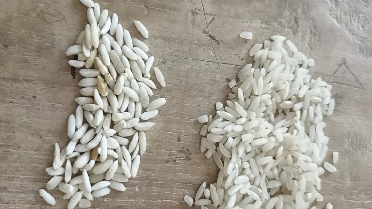 शालेय पोषण आहाराच्या तांदळामध्ये चक्क प्लास्टिकचा तांदूळ, सोलापुरात आरोग्य धोक्यात