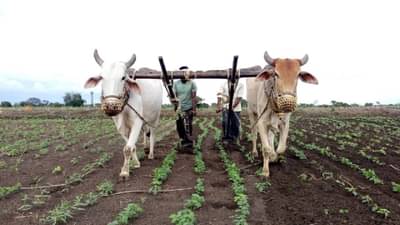 बळीराजाच्यासाठी चिंतेची बातमी ! जिल्ह्यात या दिवशी पावसासह गारपीटीची शक्यता, हवामानाचा अंदाज काय?