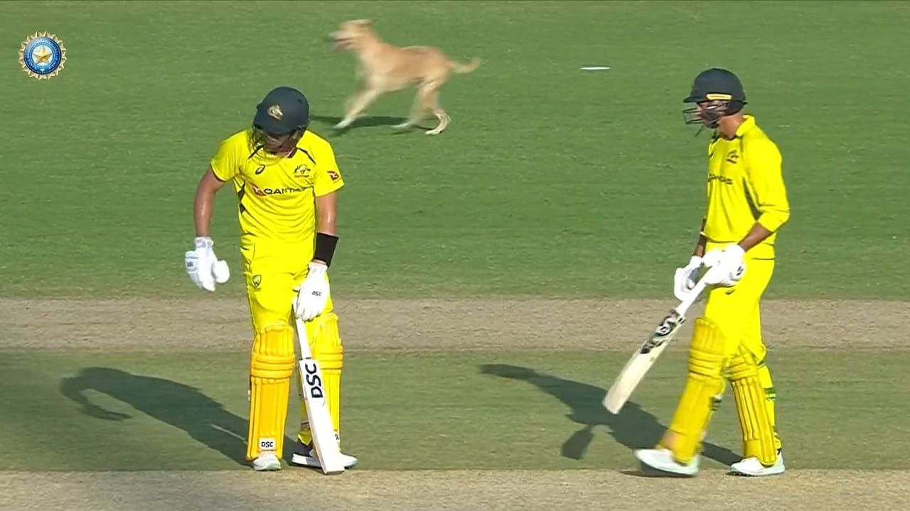 Ind Vs Aus : भर मैदानात क्रिकेट सोडून रविंद्र जडेजाची कुत्र्यासोबत पकडापकडी, व्हीडिओ व्हायरल