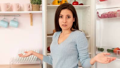 डबल डोअरपेक्षा सिंगल डोअर फ्रीजमुळे जास्त वीज वाचते का ? जाणून घ्या तथ्य...