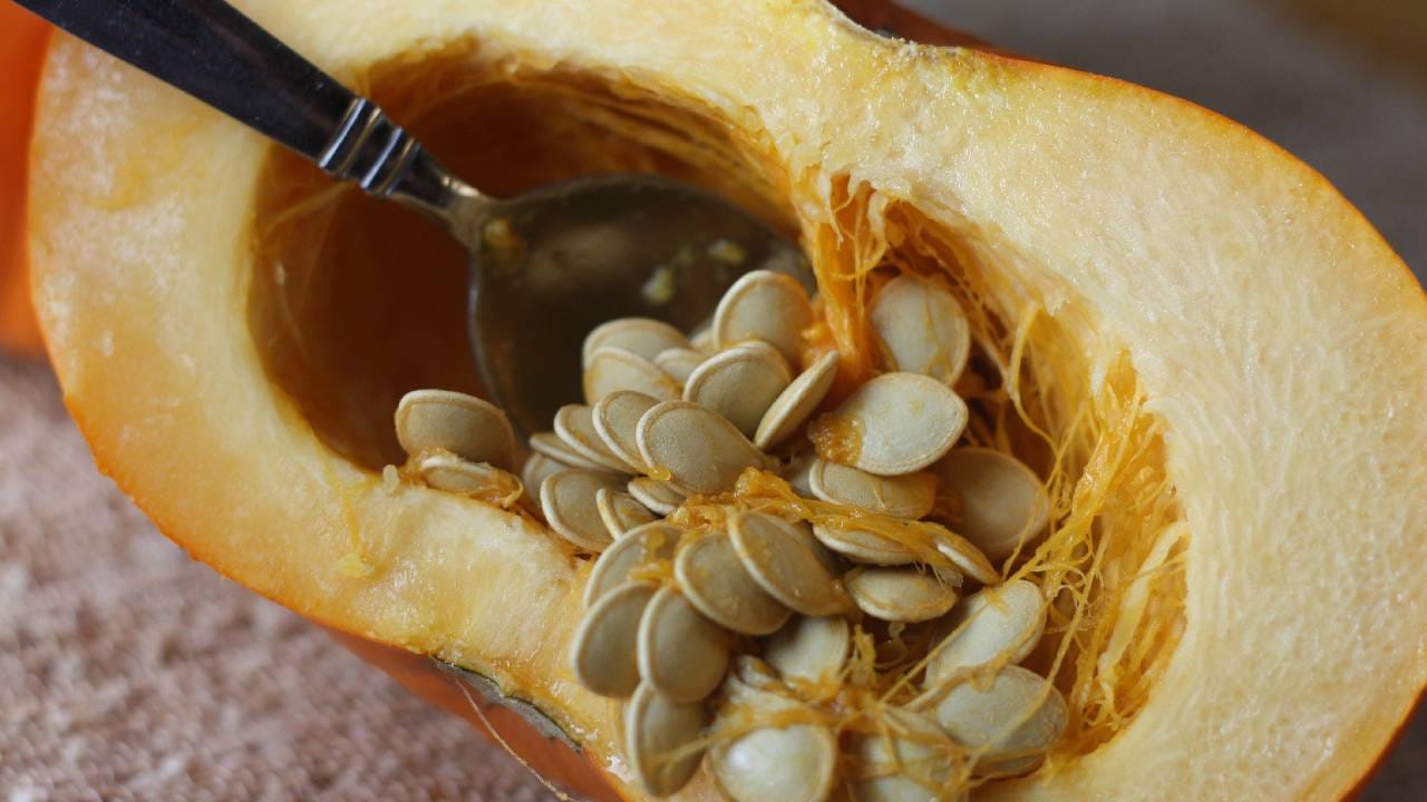 भोपळ्याच्या बिया कधी आणि का खाव्यात? Marathi News Pumpkin seeds