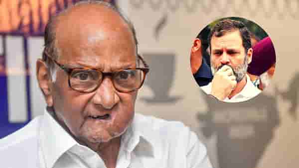 शरद पवार यांनी मार्ग काढला, राहुल गांधी यांचं वादग्रस्त विधान, उद्धव ठाकरे यांचा इशारा आणि घडामोडी घडल्या