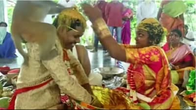 VIDEO | लग्नाच्या मंडपात विधी सुरु, अचानक एका माकडाने वधू-वराच्या डोक्यावर घेतली झेप, मग...