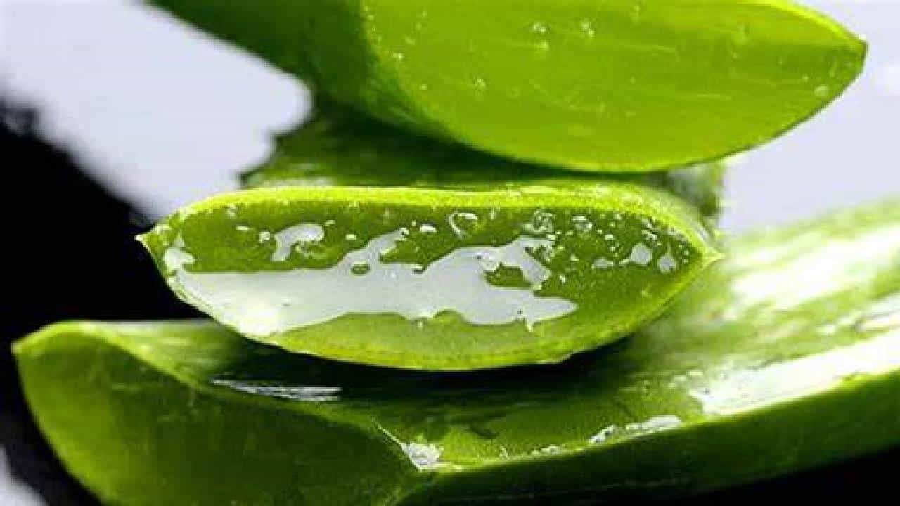 कोरफड खाल्ल्याने मिळतील हे फायदे!