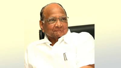 शरद पवार कलाकार, त्यांची चावीही कमालय, कुठेही चालते!; शिवसेनेच्या मंत्र्याचं वक्तव्य चर्चेत