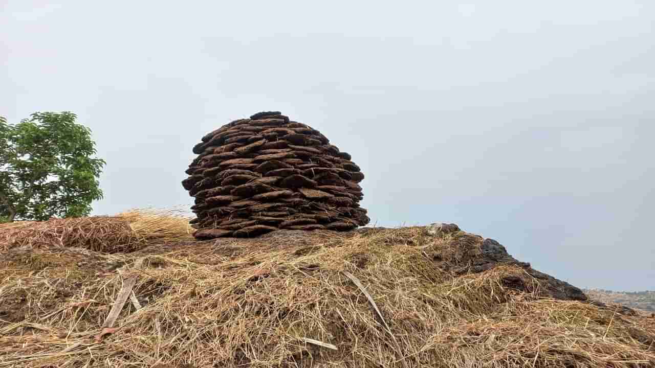 हुडव्यातील शेणी चोरल्याशिवाय होळीला मजा येत नव्हती, पण सकाळी मात्र...