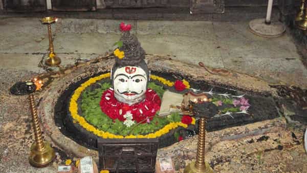 सोमवारी सकाळी ब्रह्म मुहूर्तावर उठून स्नान करावे. यानंतर शिवमंदिरात जाऊन भोलेनाथाची पूजा करावी. शिवलिंगावर जलाभिषेक करावा. शिव चालिसा किंवा शिवाष्टक देखील वाचा. यामुळे जीवनातील सर्व संकटे दूर होतील.
