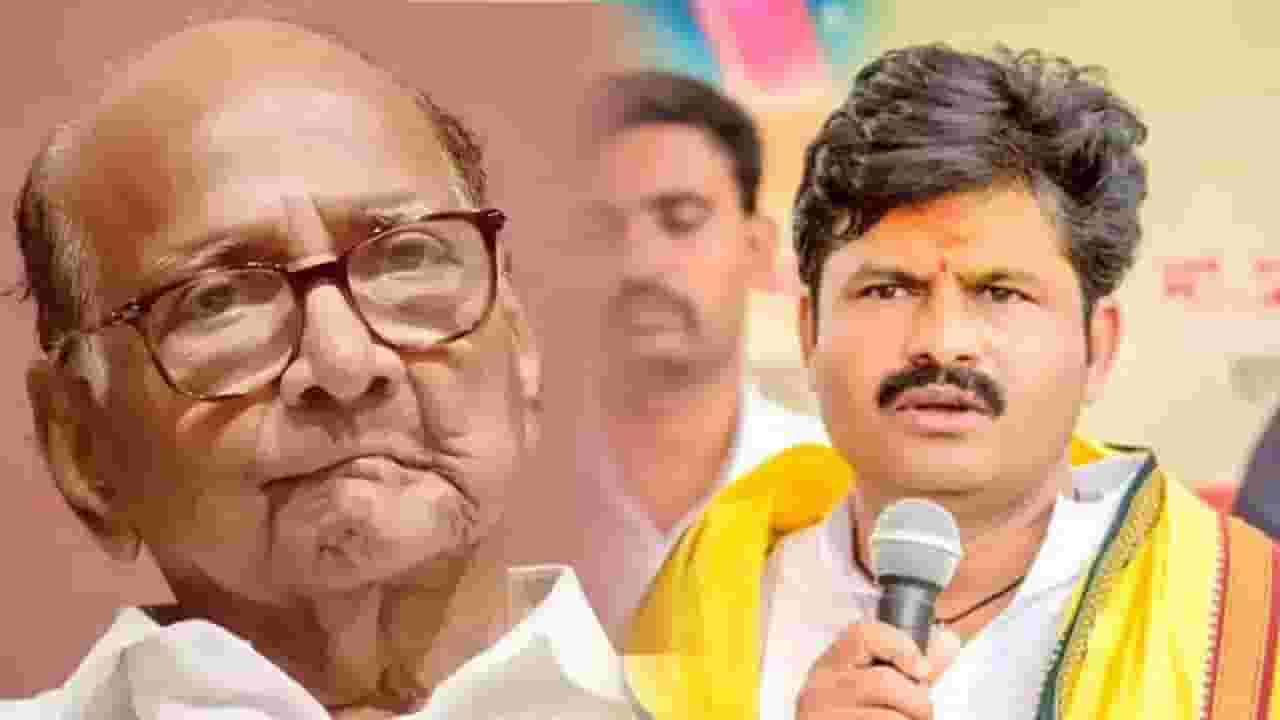 'पवार नावाची कीड लागली आहे'; गोपीचंद पडळकर यांची जहरी टीका