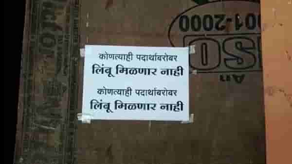लिंबू महागला शेकड्याला 800 रुपये, जाणून एका लिंबूचा दर