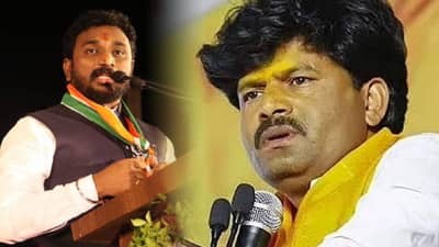 पडळकरांच्या वक्तव्यावर मिटकरींची टीका म्हणाले, हा गोप्या म्हणजे…