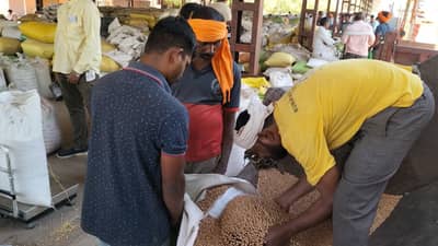 या जिल्ह्यात नवीन पीक कर्ज वाटप होणार, पण ही असेल अट