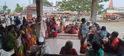 एसटीची हाफ तिकीटद्वारे फुल कमाई सुरूच, दहा दिवसांत 34 कोटी कमविले