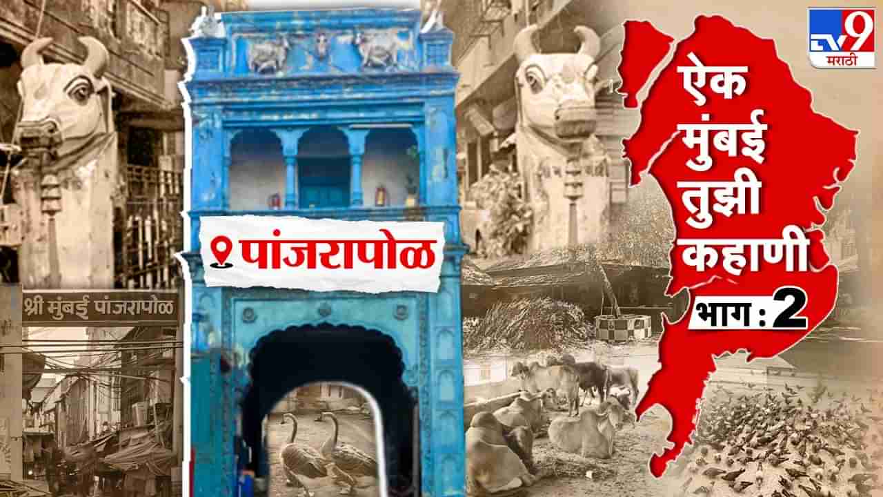 MUMBAI HISTORY 2 : हे माहित आहे का ? पहिले पांजरापोळ कुणी बांधले ? गुरे पाळण्यासाठीही द्यावा लागत होता इतका कर