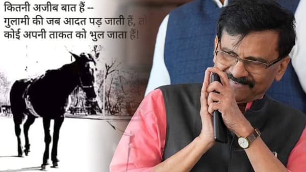 घोड्यावरून संजय राऊत यांचा कोणाला टोला? म्हणाले, ताकद विसरला