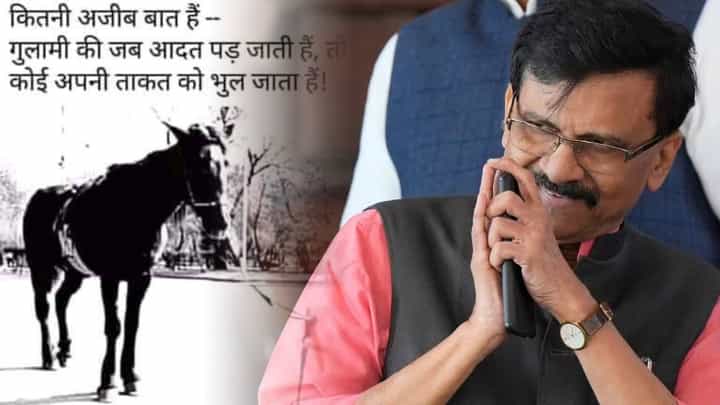 घोड्यावरून संजय राऊत यांचा कोणाला टोला? म्हणाले, ताकद विसरला घोड्यावरून संजय राऊत यांचा कोणाला टोला? म्हणाले, ताकद विसरला