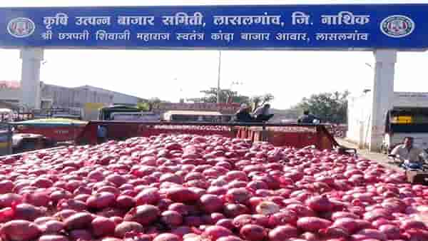 नाफेडकडून कांदा खरेदी बंद झाल्याने शेतकरी संतप्त, बाजारभाव कोसळल्याने मोठा फटका, सद्यस्थिती काय?