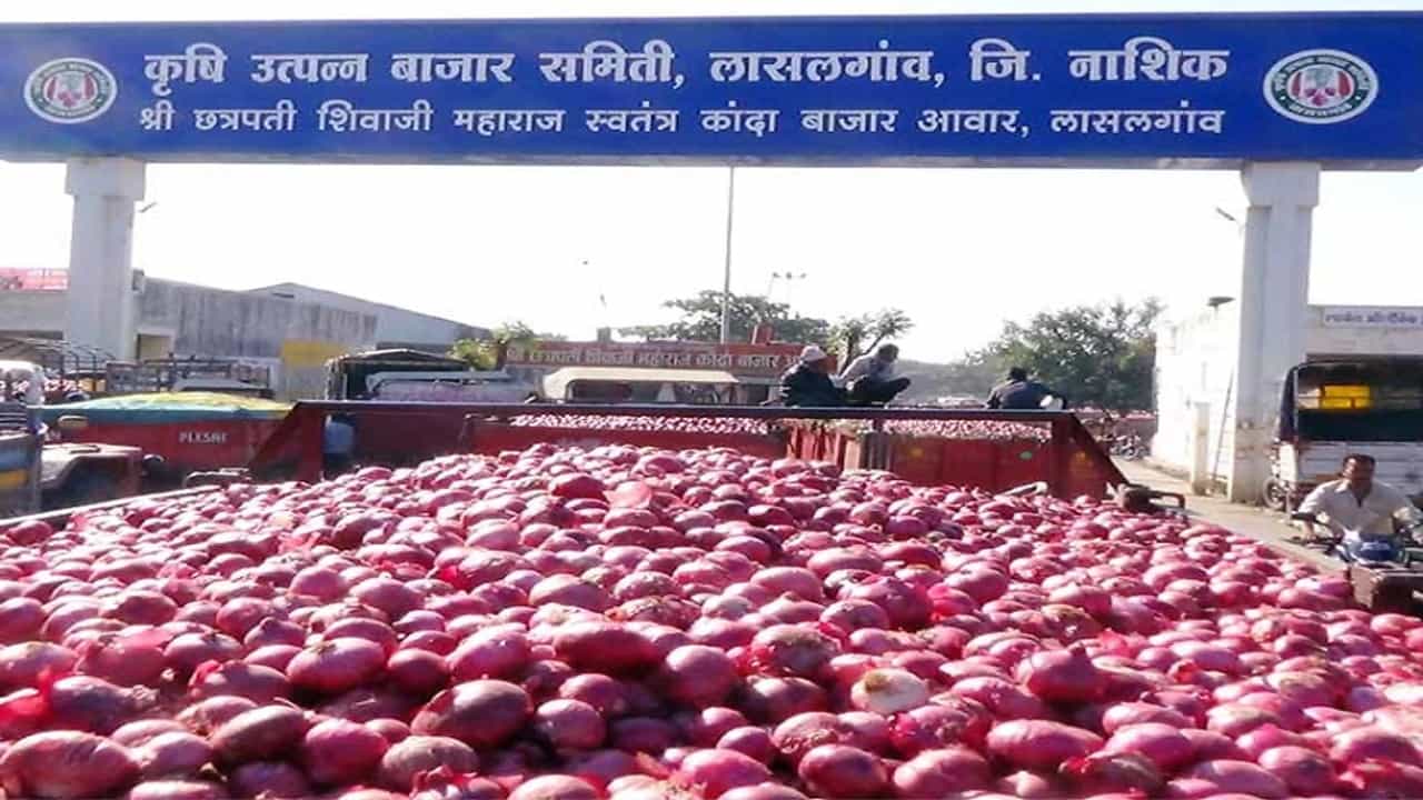 नाफेडकडून कांदा खरेदी बंद झाल्याने शेतकरी संतप्त, बाजारभाव कोसळल्याने मोठा फटका, सद्यस्थिती काय?