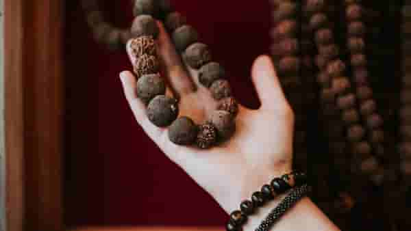 Rudraksha Benefits : रूद्राक्ष धारण करण्याचे आहेत अनेक फायदे, या नियमांकडे करू नका दुर्लक्ष