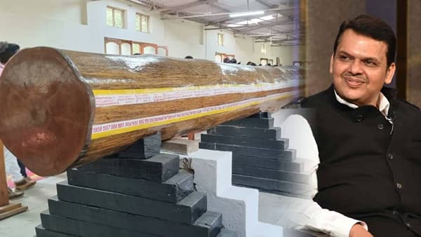 राम मंदिराच्या उभारणीत राज्याचा हातभार, सागवानी काष्ट यावर फडणवीस म्हणाले…