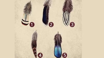 जर तुम्हाला तुमची Personality Test करायची असेल तर ह्यातलं एक पान निवडा, वाचा!