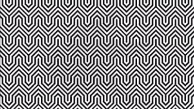 या चित्रात तुम्हाला काय दिसतंय?