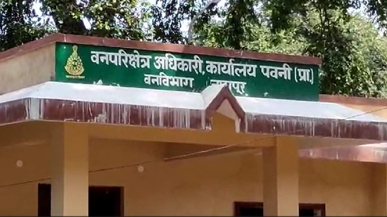 गौरीशंकर जंगलात शेळ्यांसाठी चारा आणायला गेला; रात्री उशिरापर्यंत परतला नसल्याने कुटुंबीय चिंतित गौरीशंकर जंगलात शेळ्यांसाठी चारा आणायला गेला; रात्री उशिरापर्यंत परतला नसल्याने कुटुंबीय चिंतित