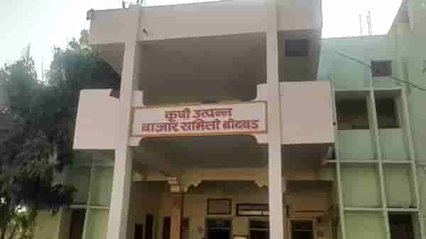 बाजारपेठेत धान्याची आवक वाढली, भावात तेजी कायम असल्याने शेतकरी सुखावला