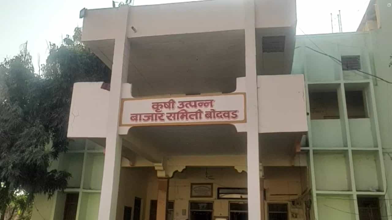 बाजारपेठेत धान्याची आवक वाढली, भावात तेजी कायम असल्याने शेतकरी सुखावला