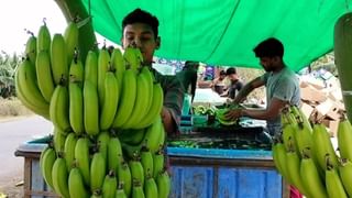 खान्देशातील केळीचा विदेशात डंका, संकट काळातही शोधलं यशस्वी होण्याचं कसब, जाणून घ्या