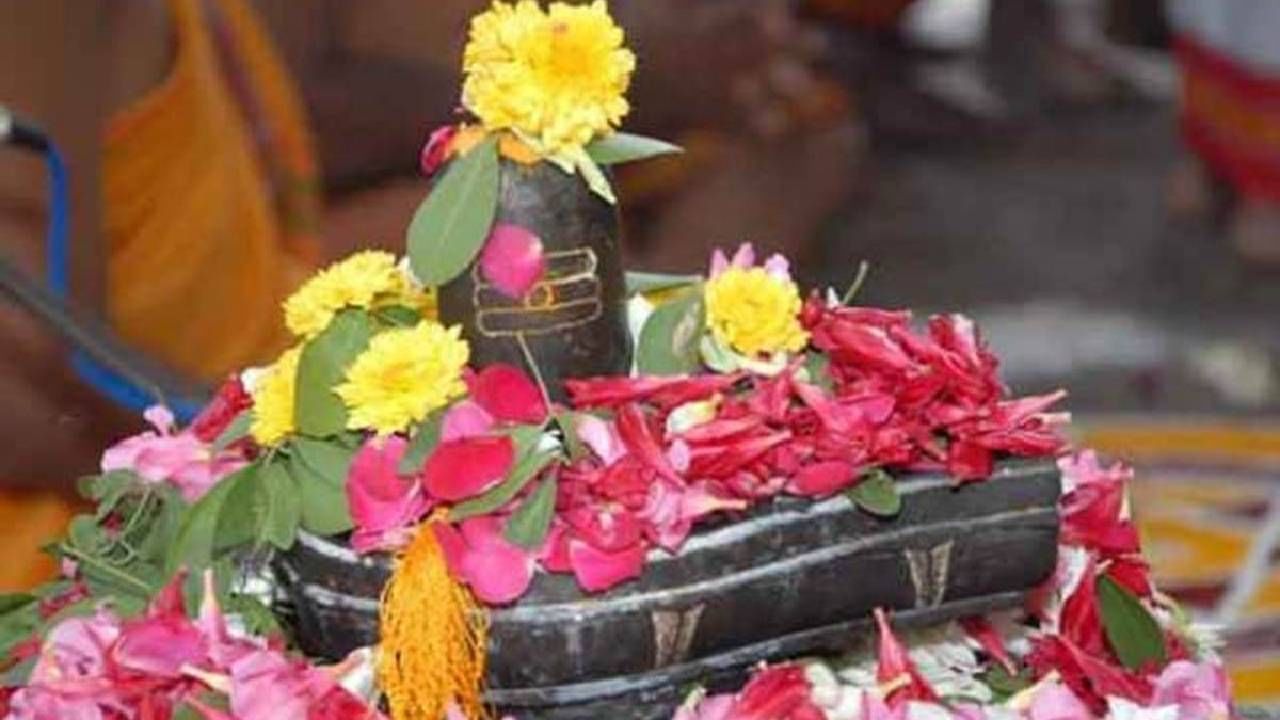 Pradosh Vrat : या तारखेला आहे एप्रिल महिन्याचा पहिला प्रदोष व्रत, पुजा विधी आणि मुहूर्त Pradosh Vrat : या तारखेला आहे एप्रिल महिन्याचा पहिला प्रदोष व्रत, पुजा विधी आणि मुहूर्त