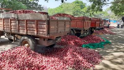 सरकारनं घोषणा केली पण त्या अटीमुळे अनुदानाचा लाभचं नाही, कांदा उत्पादक शेतकऱ्यांची मागणी काय?