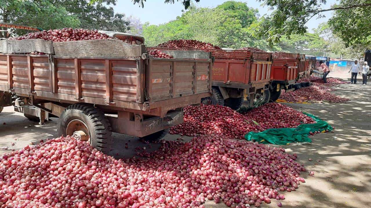 सरकारनं घोषणा केली पण त्या अटीमुळे अनुदानाचा लाभचं नाही, कांदा उत्पादक शेतकऱ्यांची मागणी काय?