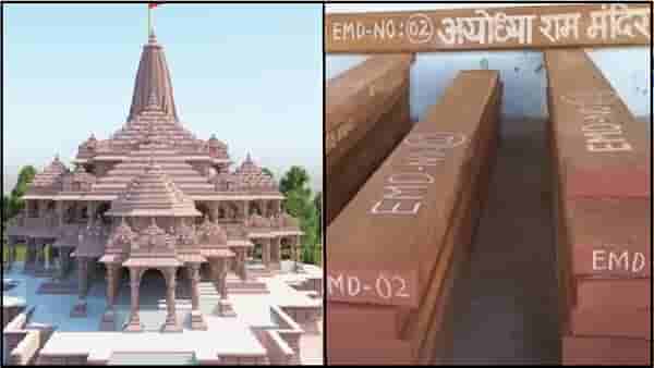 चंद्रपूरच्या सागवानापासून बनणार राम मंदिराचे 42 दरवाजे : जाणून घ्या का आहे हा लाकूड विशेष?