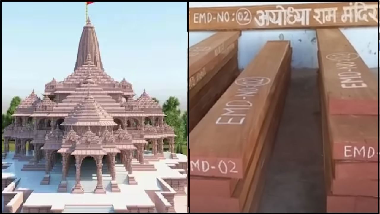 चंद्रपूरच्या सागवानापासून बनणार राम मंदिराचे 42 दरवाजे : जाणून घ्या का आहे हा लाकूड विशेष?