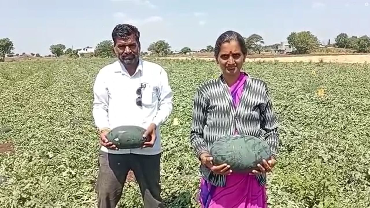 कांद्याच्या शेतीतून फायदा होण्यापेक्षा त्यातून उत्पादन खर्च सुध्दा वसूल होत नसल्याने नाशिकच्या चांदवड तालूक्यातील रायपूक येथील शेतकरी शंकर कोल्हे यांनी चार एकरात कलिंगडची शेती करत त्यातून भरघोस आर्थिक फायदा झाला आहे.