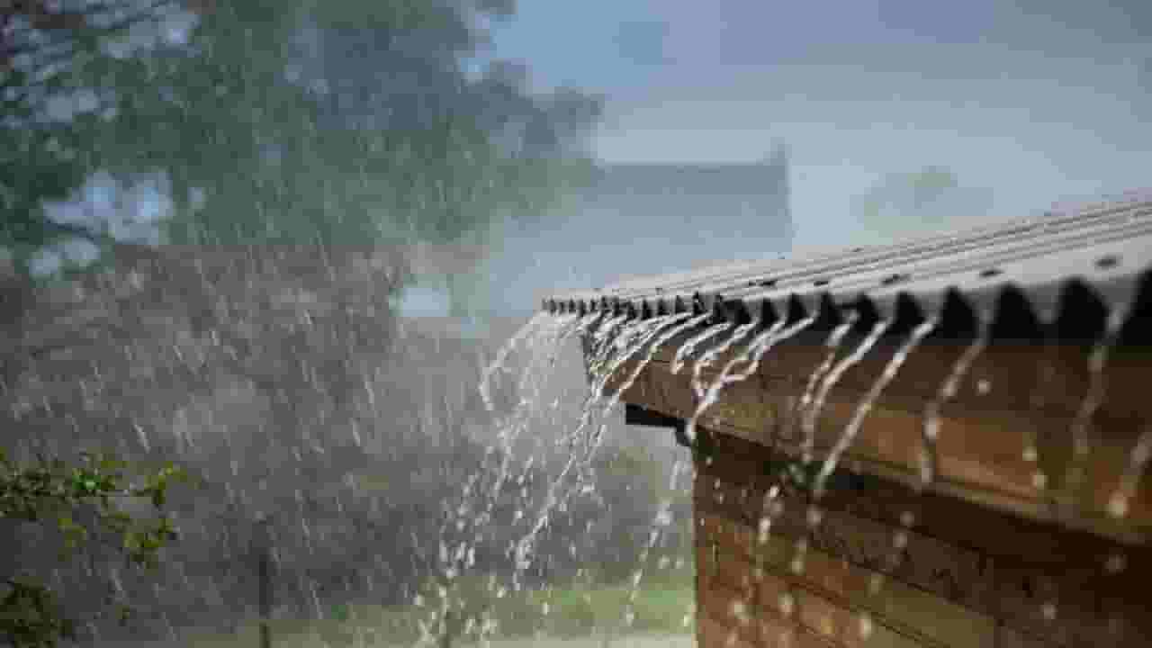 पुन्हा अवकाळीचा धुमाकूळ ; पुढील 48 तासांत अवकाळी पावसाचा अंदाज पुन्हा अवकाळीचा धुमाकूळ ; पुढील 48 तासांत अवकाळी पावसाचा अंदाज