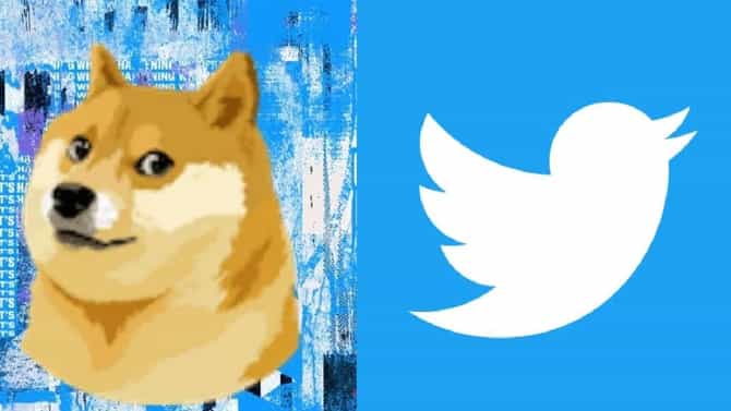 Twitter Logo : उड गया पंछी; Twitter च्या लोगोत बदल ; Elon Musk ने का केली Doge ची निवड ?